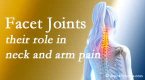 Minster Chiropractic Center carefully examines, diagnoses, and treats cervical spine facet joints for neck pain relief when they are involved.