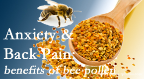 Minster Chiropractic Center shares info on the benefits of bee pollen on cognitive function that may be impaired when dealing with back pain.