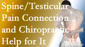Minster Chiropractic Center explains recent research on the connection of testicular pain to the spine and how chiropractic care helps its relief.