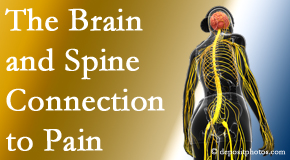 Minster Chiropractic Center looks at the connection between the brain and spine in back pain patients to better help them find pain relief.