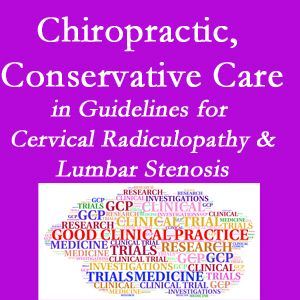 Minster chiropractic care for cervical radiculopathy and lumbar spinal stenosis is often ignored in medical studies and recommendations despite documented benefits. 