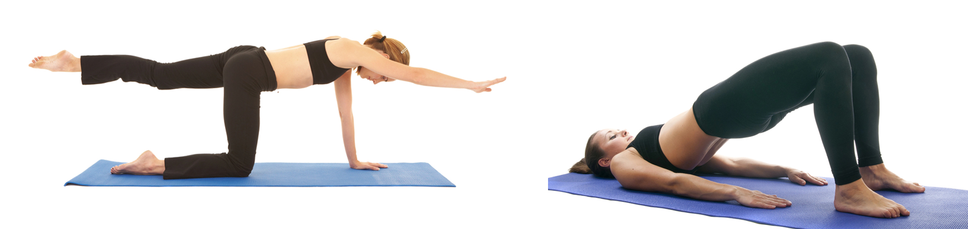 Minster chiropractic exercise to strengthen multifidus 