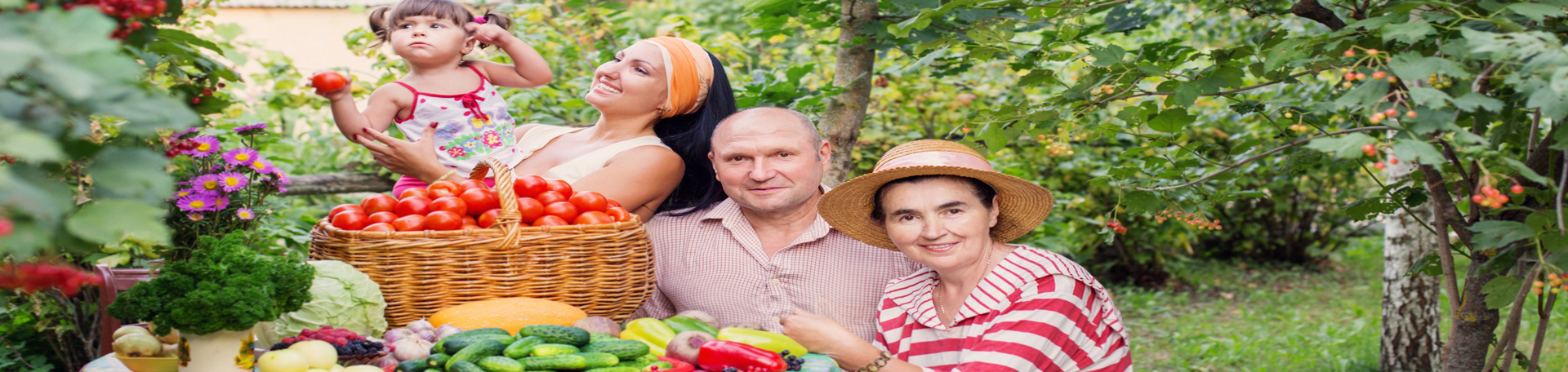  Minster chiropractic summer health tips