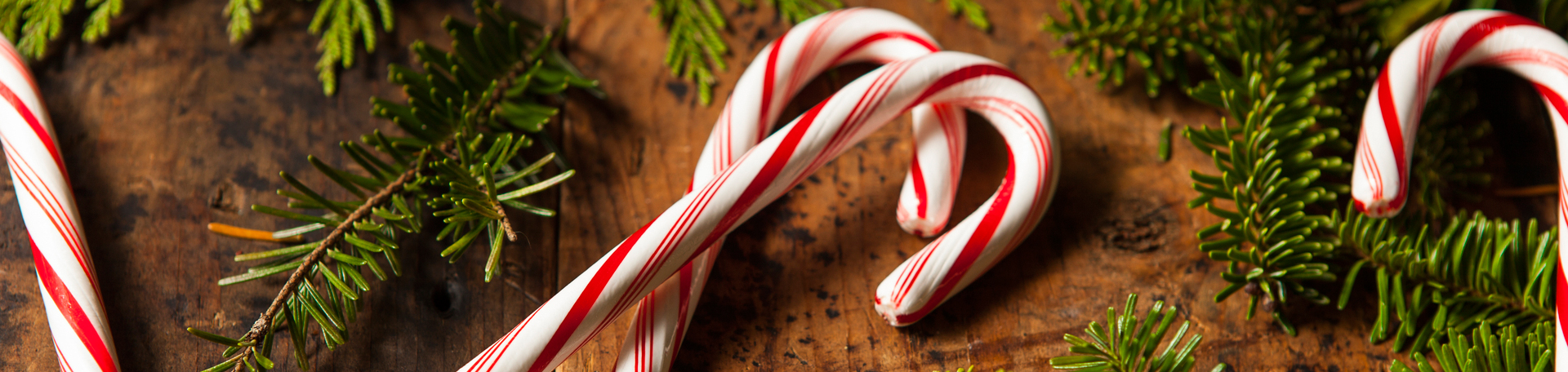 Peppermint for Minster Cognition & Appetite Regulation!