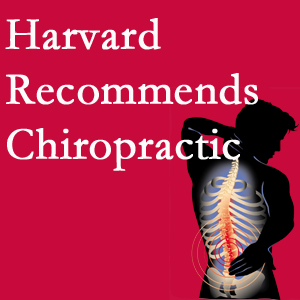 Minster Chiropractic Center offers chiropractic care like Harvard recommends.