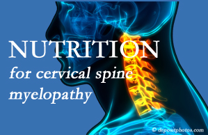 Minster Chiropractic Center presents the nutritional factors in cervical spine myelopathy in its development and management.