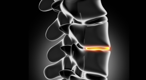 Minster chiropractic nutrition with vitamin D and quercitrin